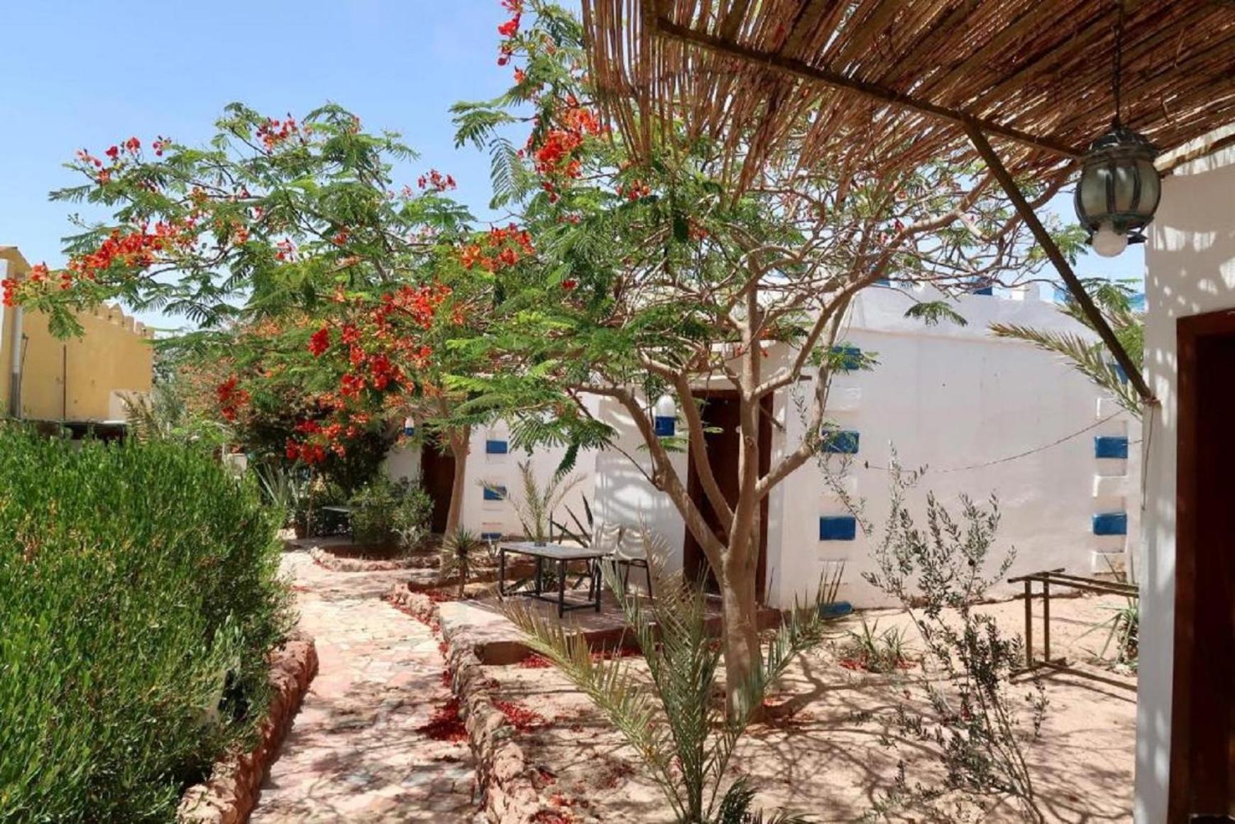 Bedouins Inn Village العقبة المظهر الخارجي الصورة